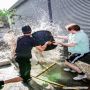 20140615_18-43-41_IMG_9783